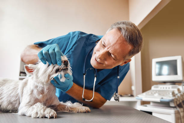 Best Pediatric Emergency Dentist in Manchester, TN